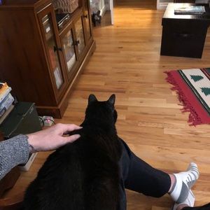 Meet your Posher, Noah